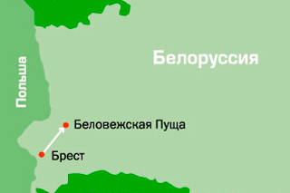Где находиться беловежская пуща Где находиться беловежская пуща