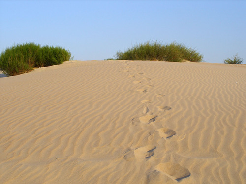 Анапские дюны