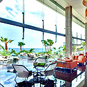 Amathus Beach Limassol (8)