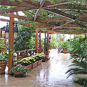 Four Seasons (15)