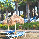 Grandresort (1)