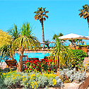 Alexander the Great Beach Hotel (3)
