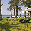 Asimina Suites (8)