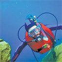 Coral Beach (20)