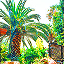 Dionysos Central (2)