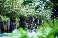 Отель CRETAN MALIA PARK(4*+), фотография 06; Территория