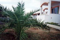 Отель VISTA DEL MARE(VILLA), фотография 01; Внешний вид