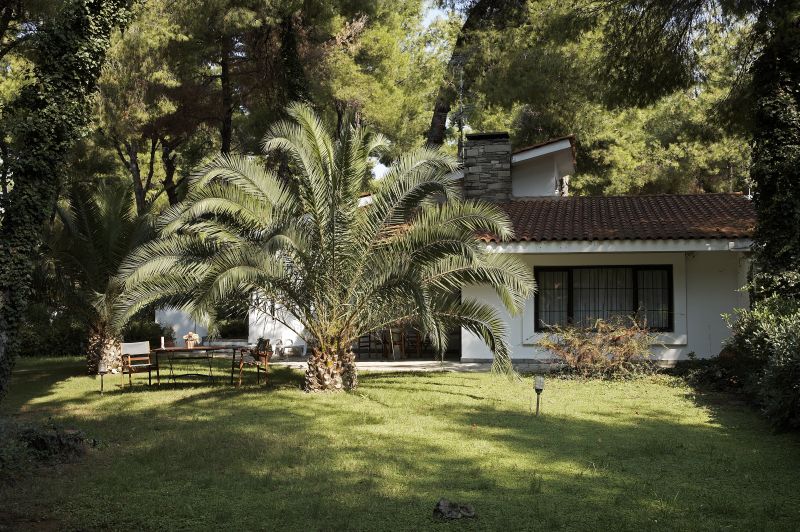 Отель VILLA MUSES(VILLA), фотография 01; Территория