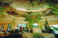 Отель ESPEROS PALACE(5*), фотография 04; Холл отеля